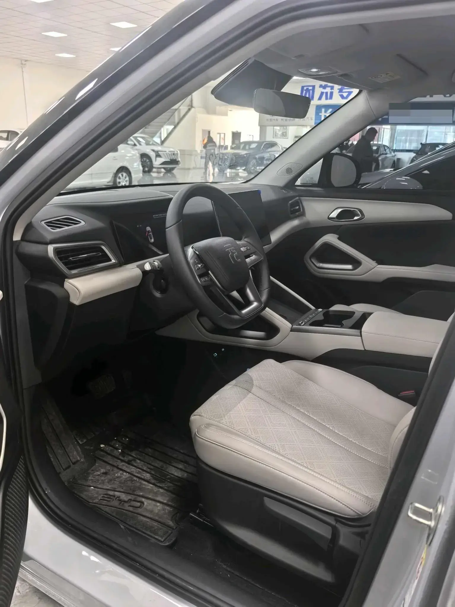 2025 BYD YUANUP thumbnail 4