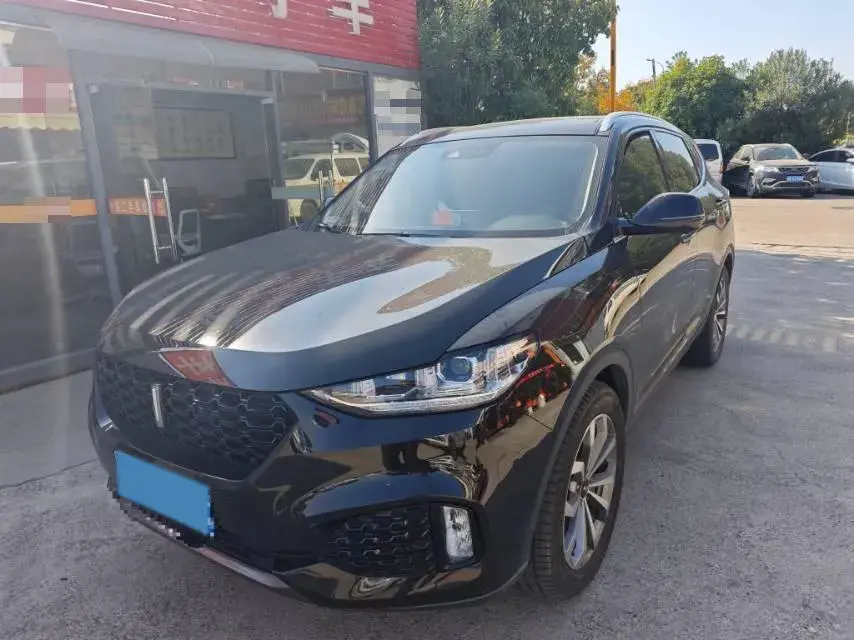 2018 WEY VV6 2.0T 197HP L4 7DCT