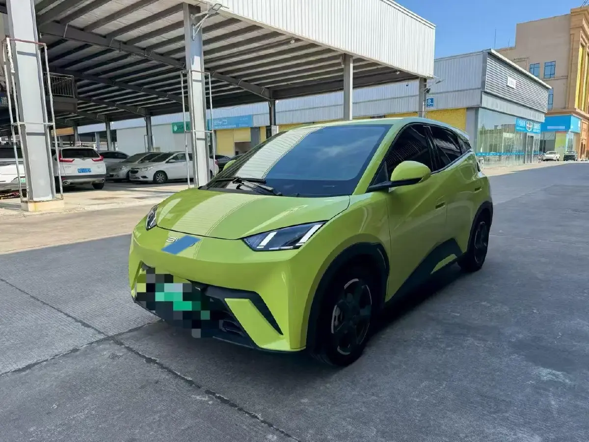 2023 BYD Yuan Pro BEV 38KWH