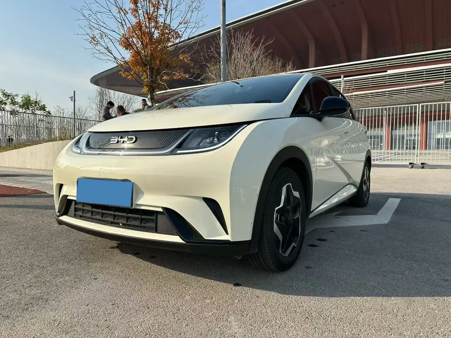 2024 BYD DOLPHIN view 1