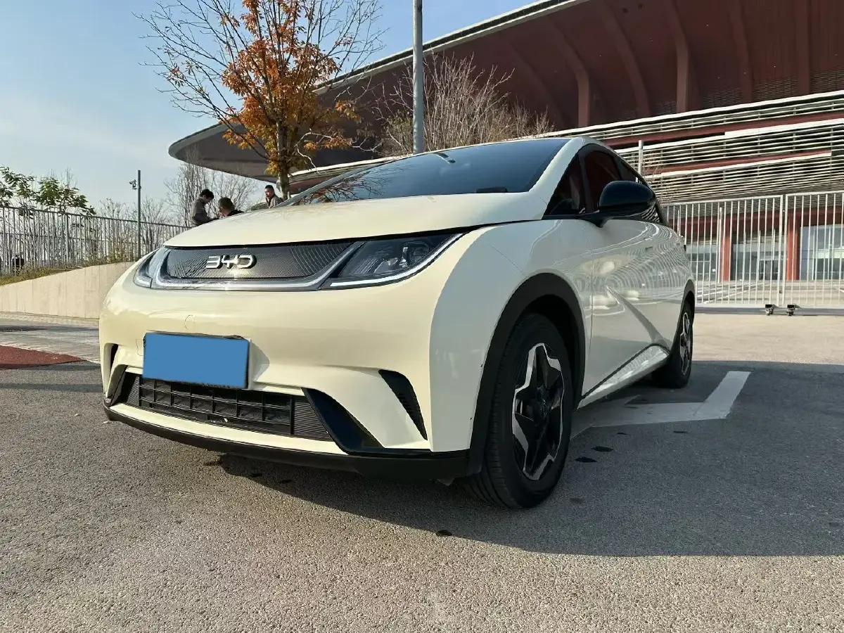 2024 BYD Dolphin BEV 44.928KWH