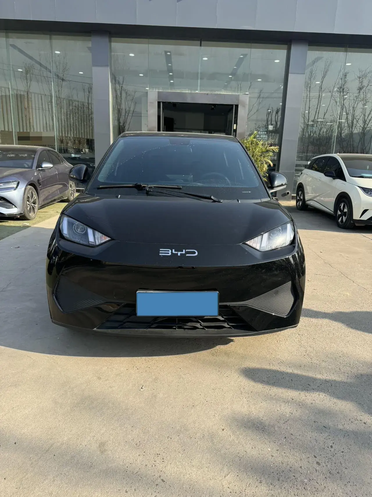 2025 BYD SEAGULL thumbnail 2