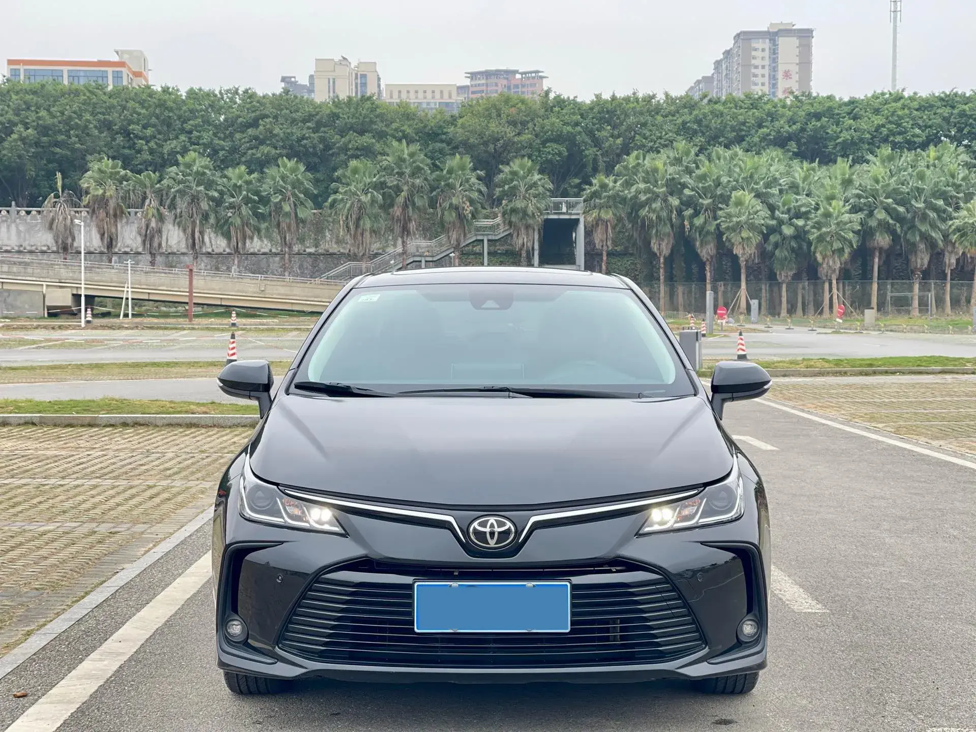2019 TOYOTA COROLLA thumbnail 2