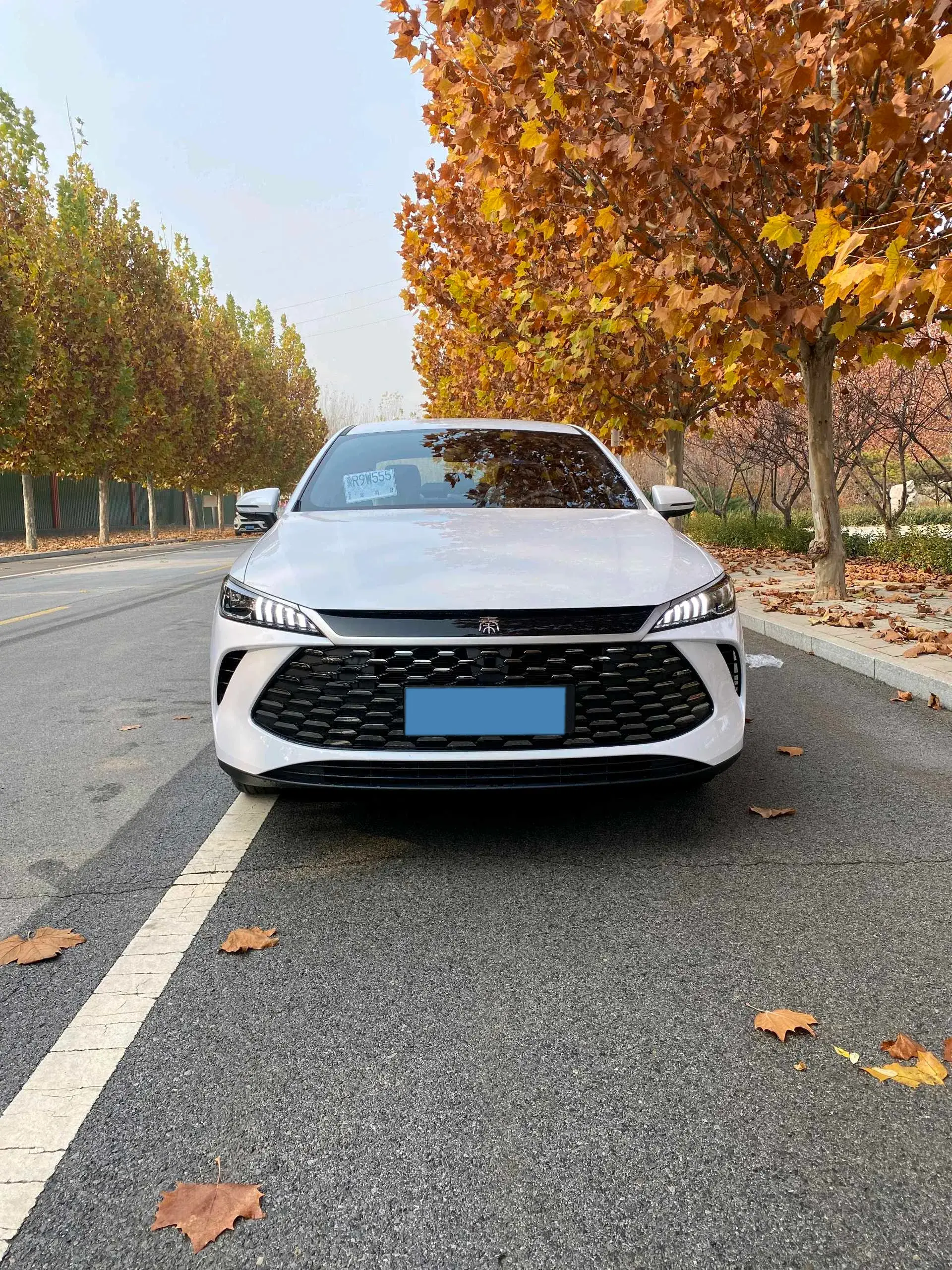 2024 BYD QIN thumbnail 2