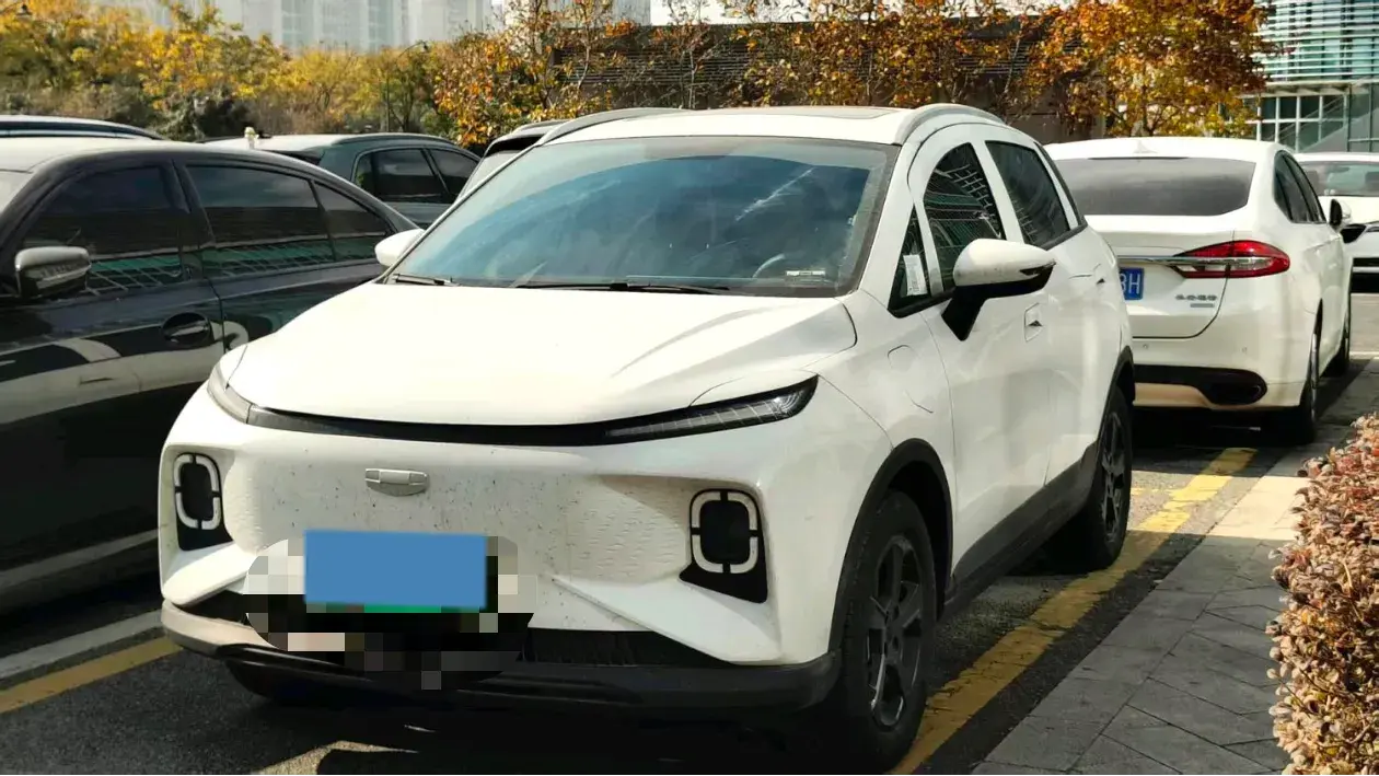 2024 Geometry E BEV 29.67KWH