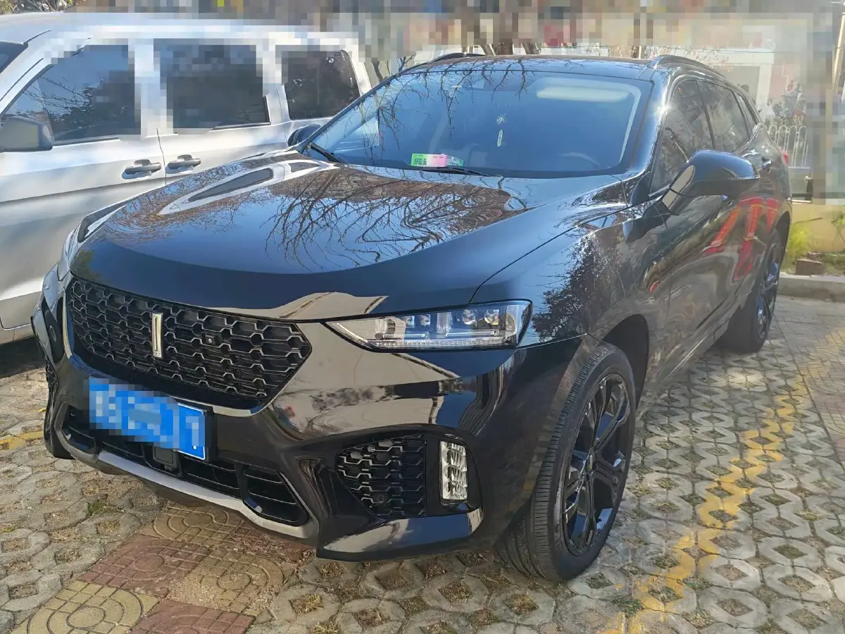 2019 WEY VV7 2.0T 227HP L4 7DCT