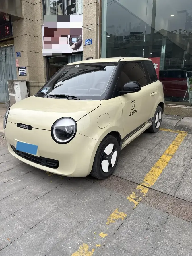 2022 Levdeo Mango BEV 17.28KWH