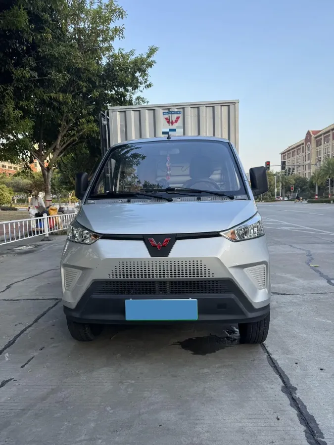 2021 WuLing Electric Truck BEV 41.6KWH,autocango,china used car exporter,china ev exporter,chinese used car exporter,chinese used ev exporter