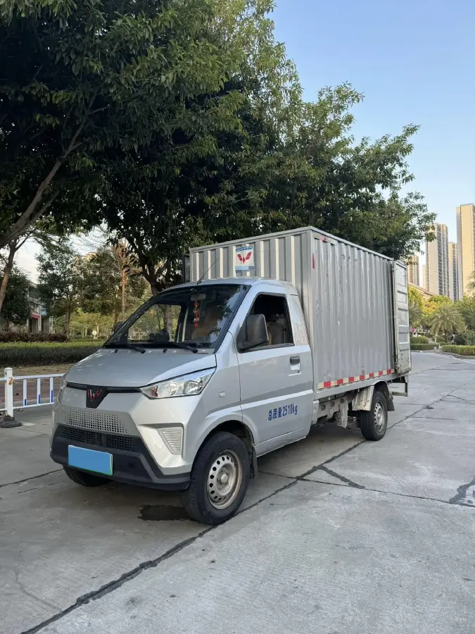 2021 WuLing Electric Truck BEV 41.6KWH