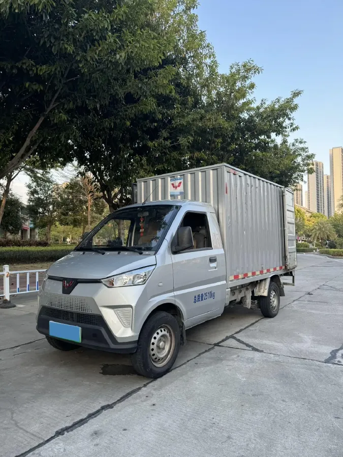 2021 WuLing Electric Truck BEV 41.6KWH,autocango,china used car exporter,china ev exporter,chinese used car exporter,chinese used ev exporter