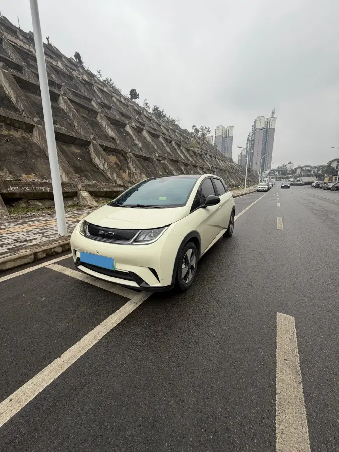 2023 BYD Dolphin BEV 44.928KWH