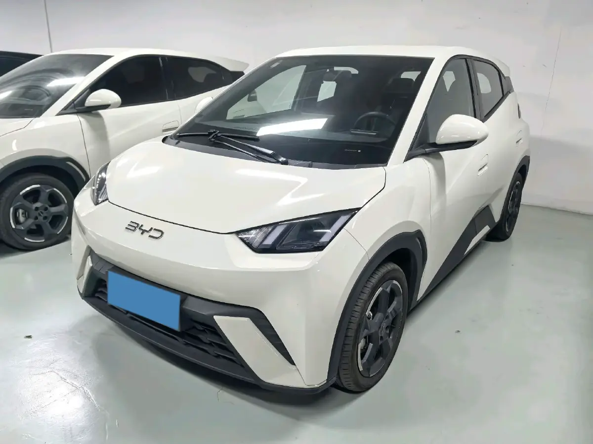 2024 BYD Seagull BEV 38.88KWH