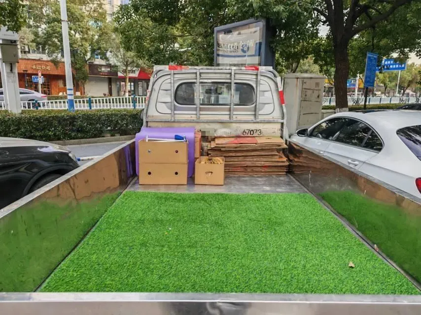 2021 NLM Motor QiTeng N30 1.25L 91HP L4 5MT,autocango,china used car exporter,china ev exporter,chinese used car exporter,chinese used ev exporter