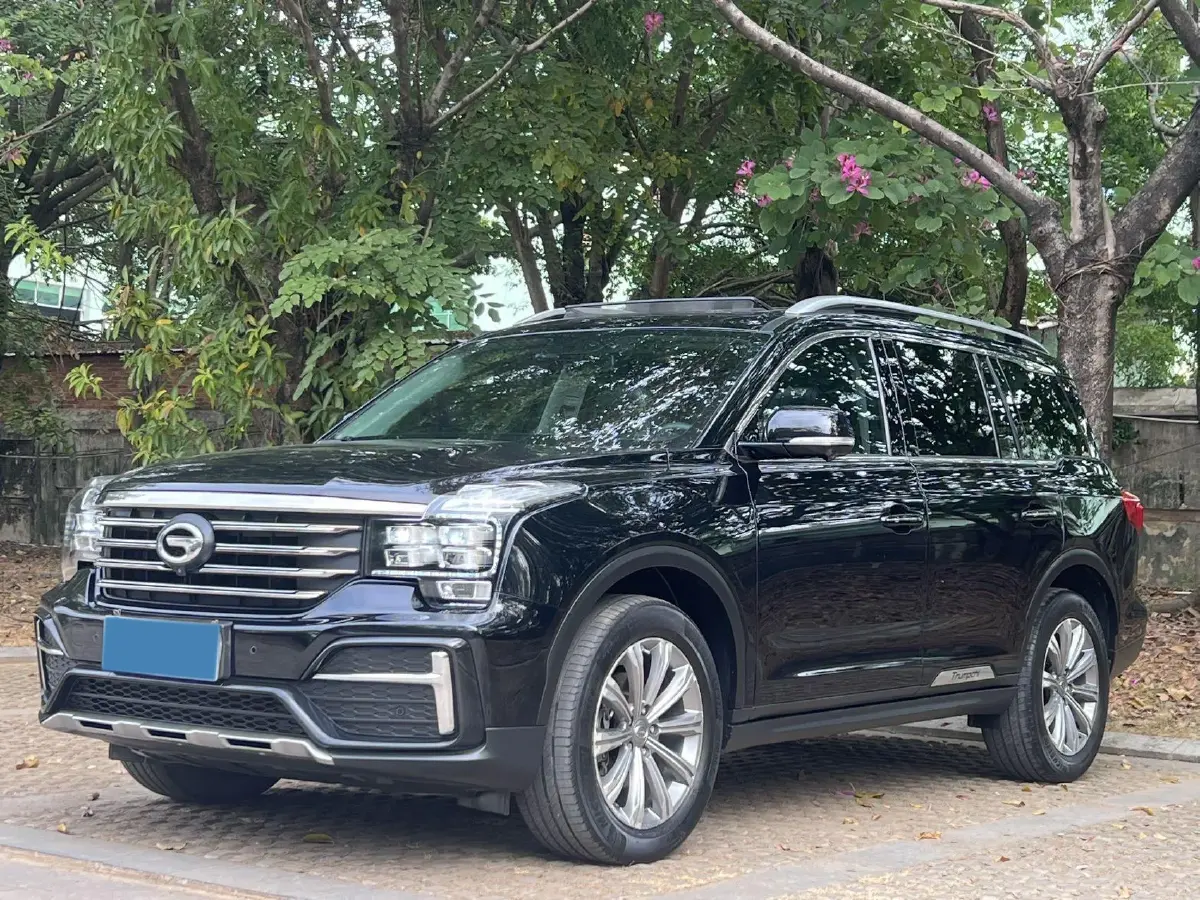 2020 GAC Trumpchi GS8 2.0T 252HP L4 6AT