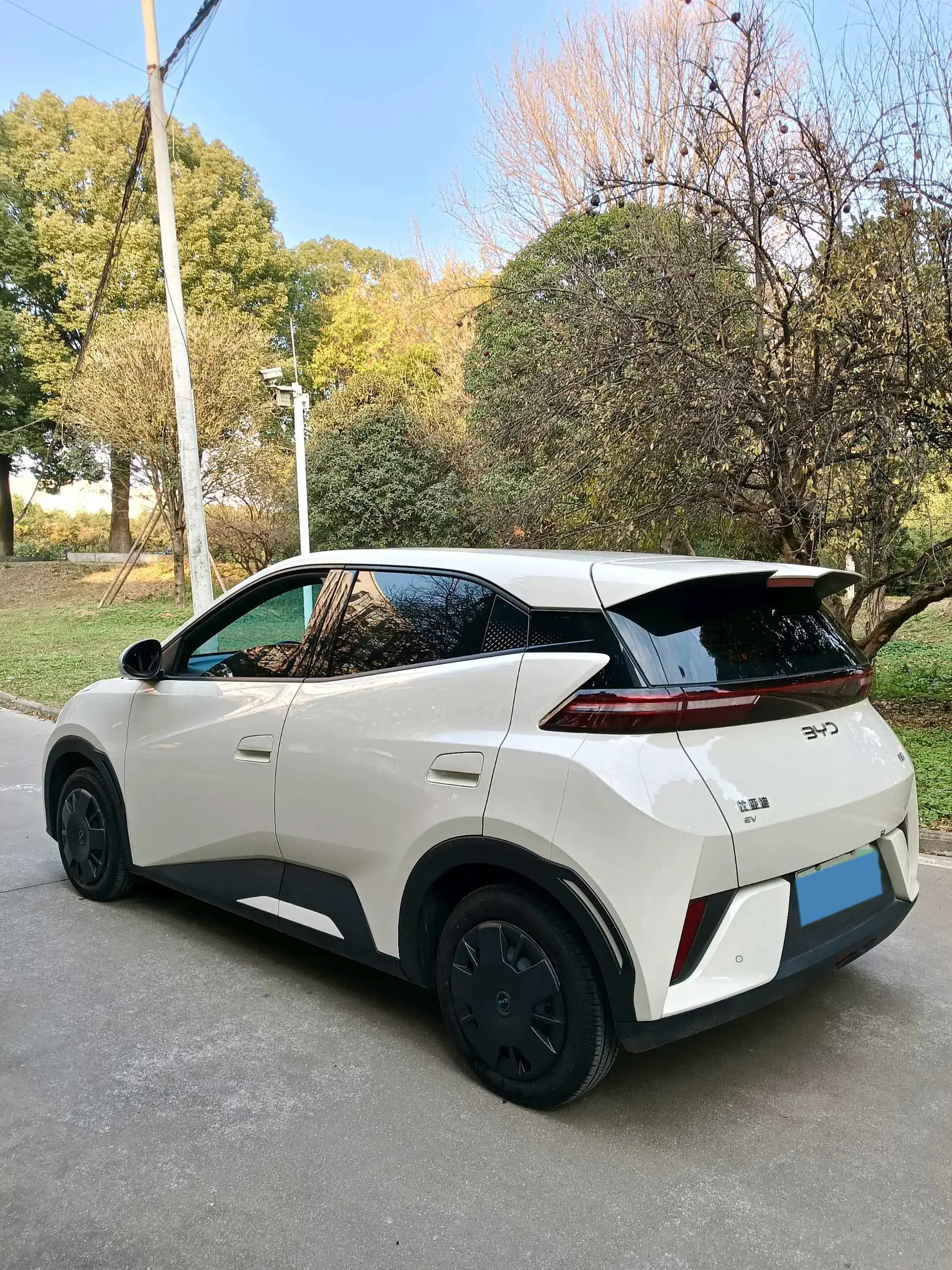 2025 BYD SEAGULL thumbnail 3