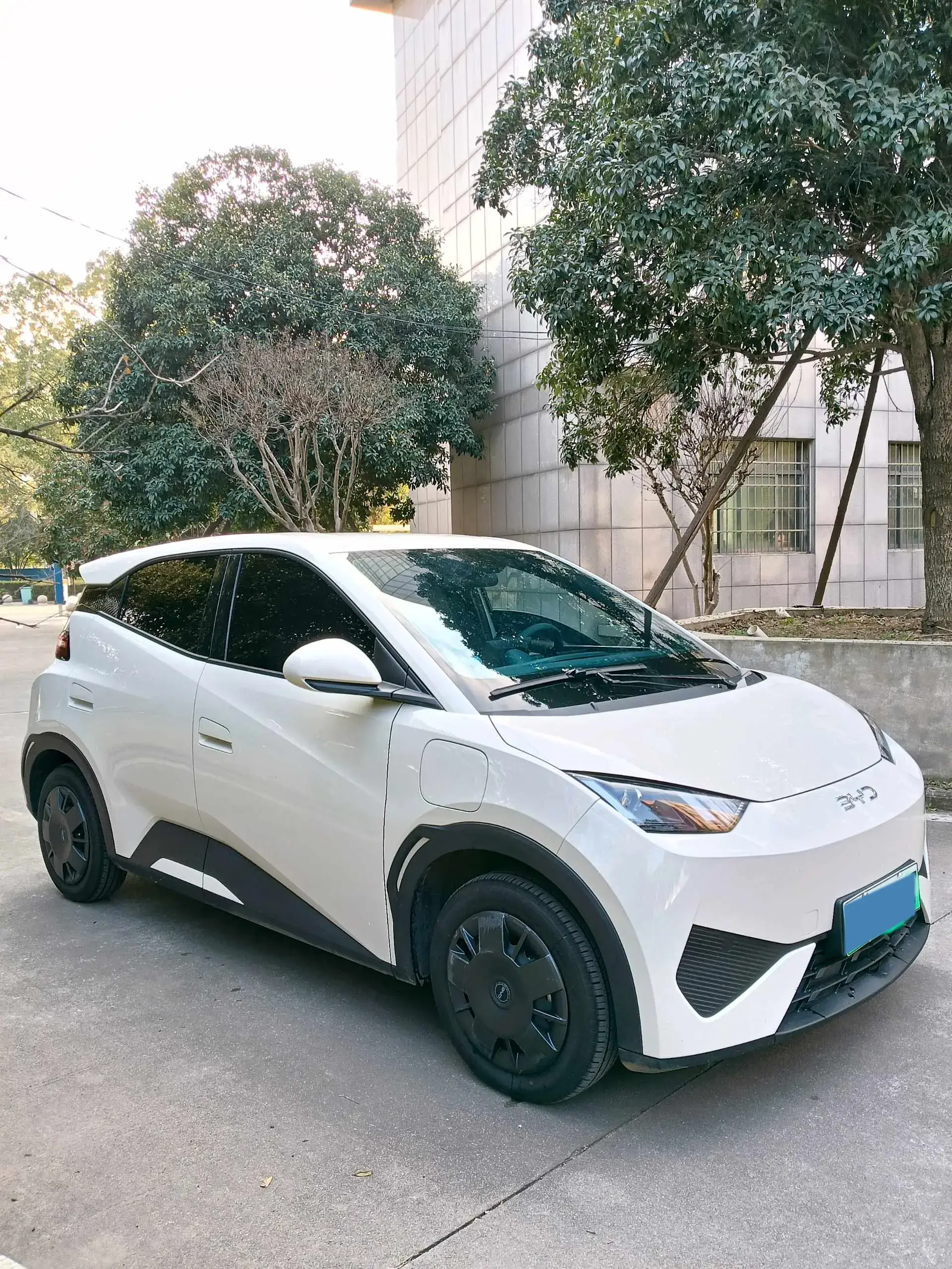 2025 BYD SEAGULL thumbnail 2