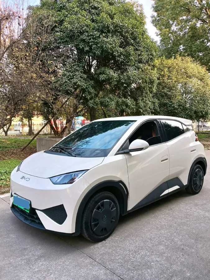 2025 BYD Seagull BEV 30.08KWH
