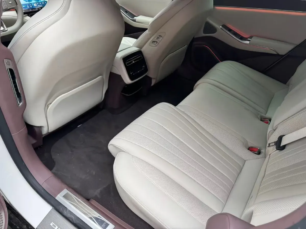 2024 Denza DenzaZ9 2.0T 207HP L4 E-CVT PHEV 38.5KWH,autocango,china used car exporter,china ev exporter,chinese used car exporter,chinese used ev exporter