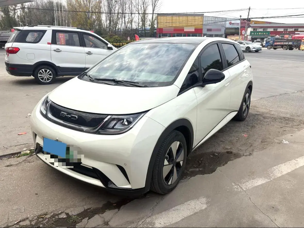 2023 BYD Dolphin BEV 44.928KWH
