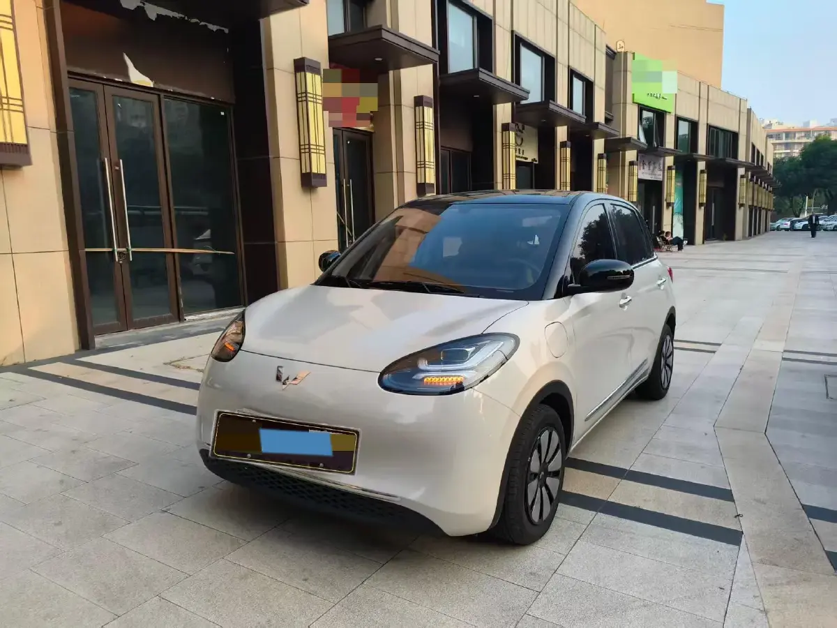 2024 WuLing BinGuo BEV 31.9KWH