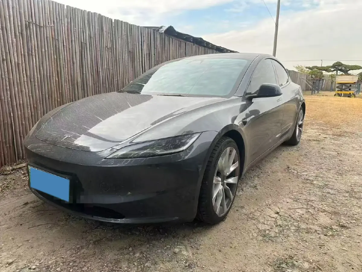 2025 Tesla Model 3 BEV