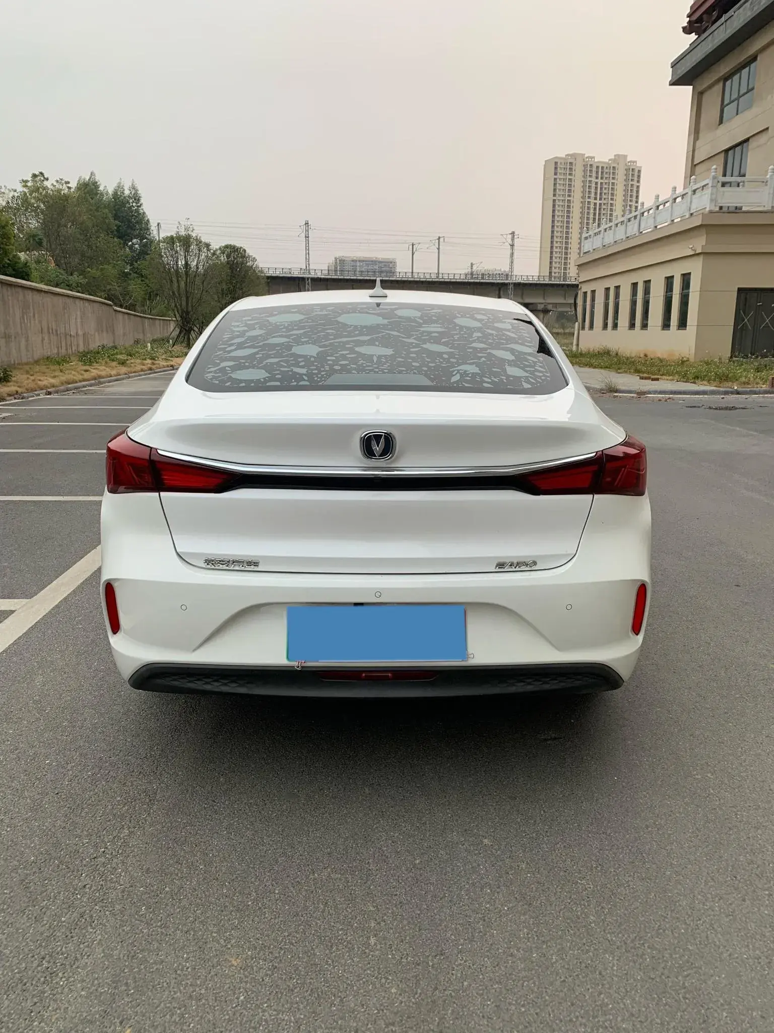 2020 DONGFENG RUIQI thumbnail 4