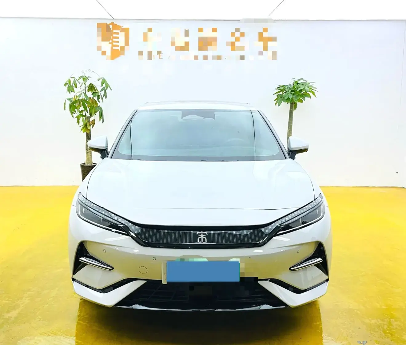 2025 BYD SONGL thumbnail 2