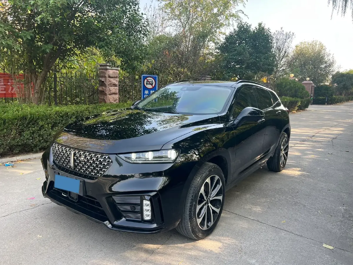 2020 WEY VV7 2.0T 227HP L4 7DCT