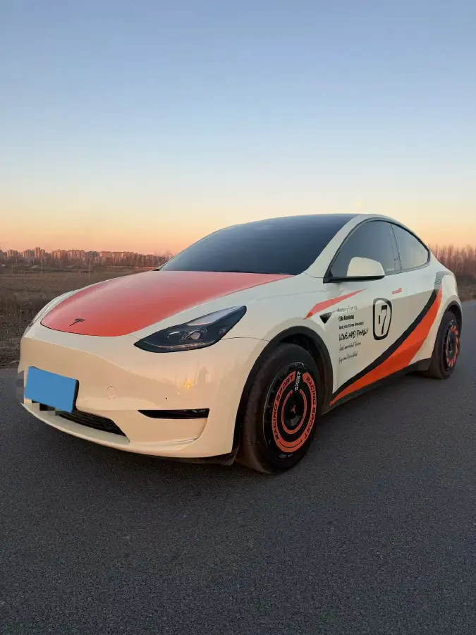 2021 Tesla Model Y BEV 60KWH