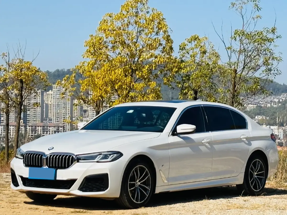 2021 BMW 5 Series 2.0T 184HP L4 8AT