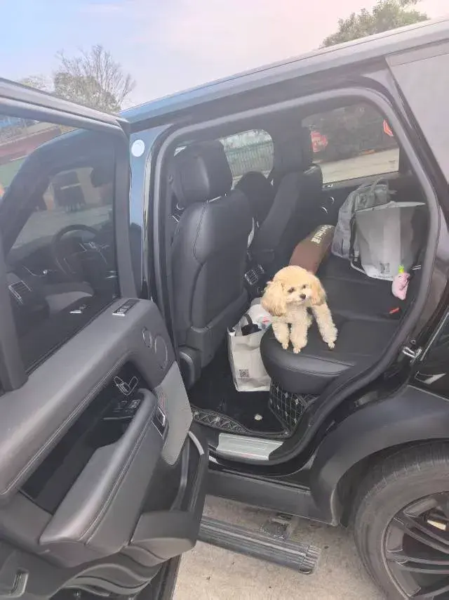 2018 LAND ROVER thumbnail 2