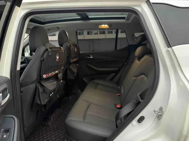 2020 GAC TRUMPCHI thumbnail 4