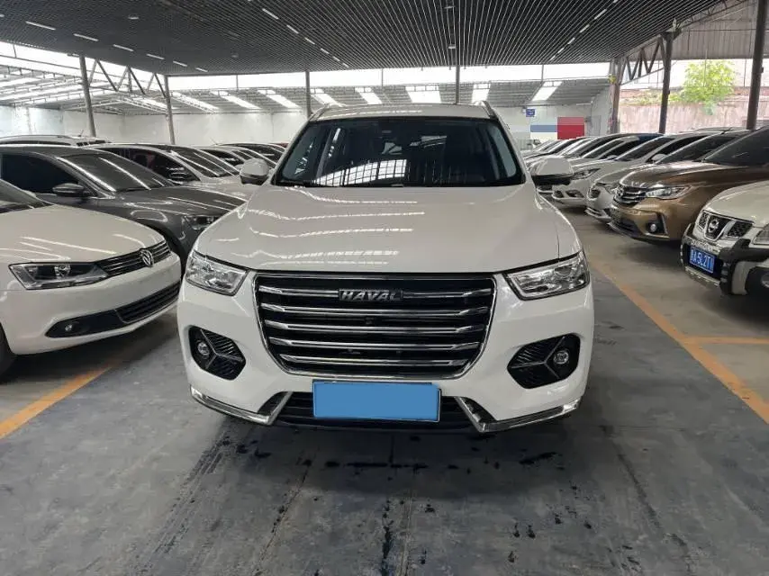 2020 HAVAL H6 thumbnail 2
