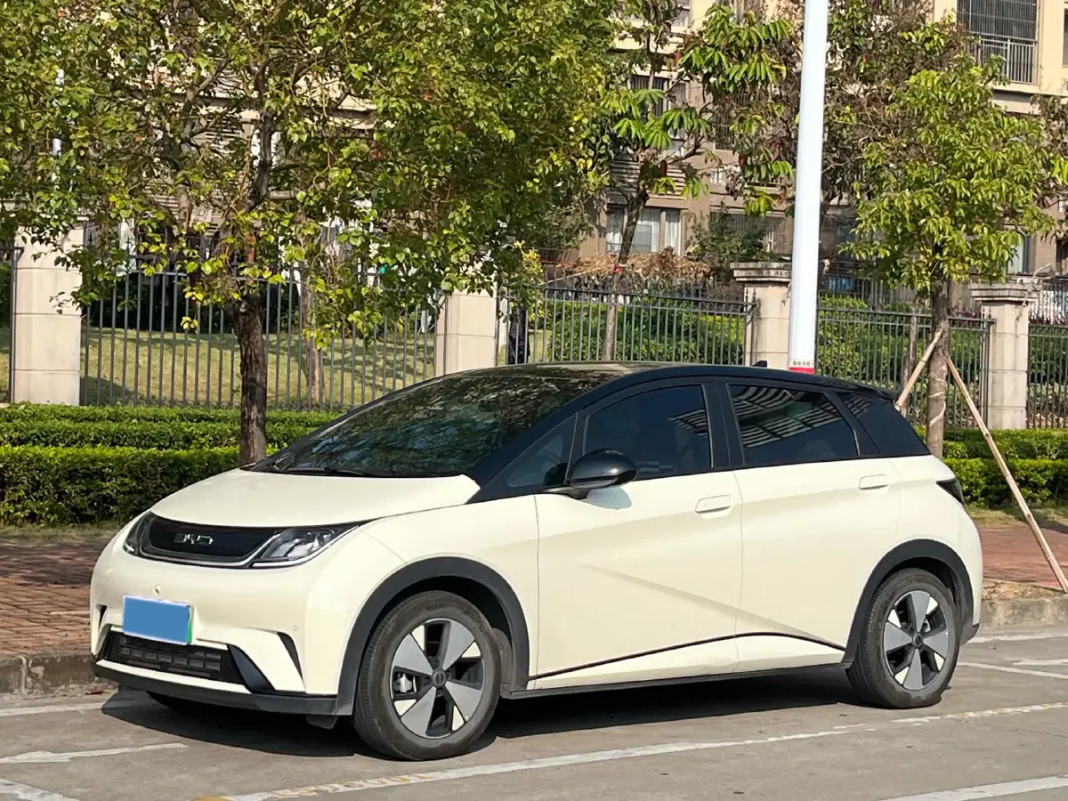 2023 BYD Dolphin BEV 44.928KWH