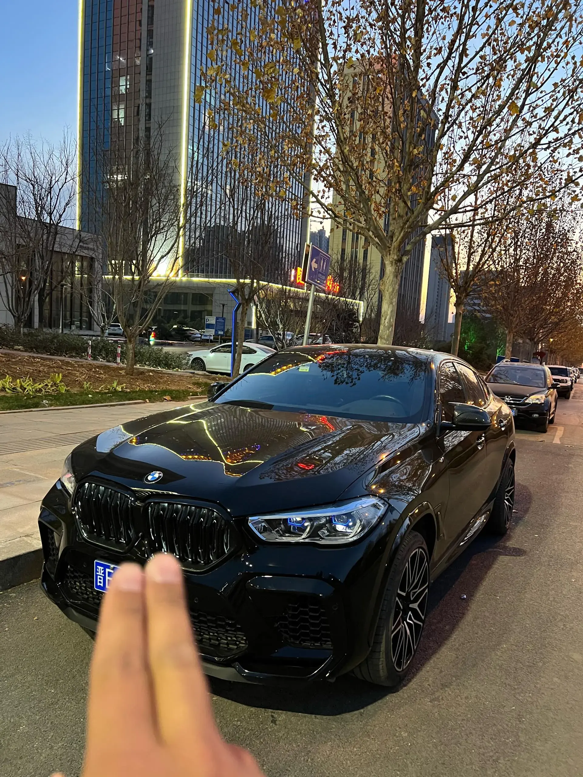 2021 BMW X6 view 1