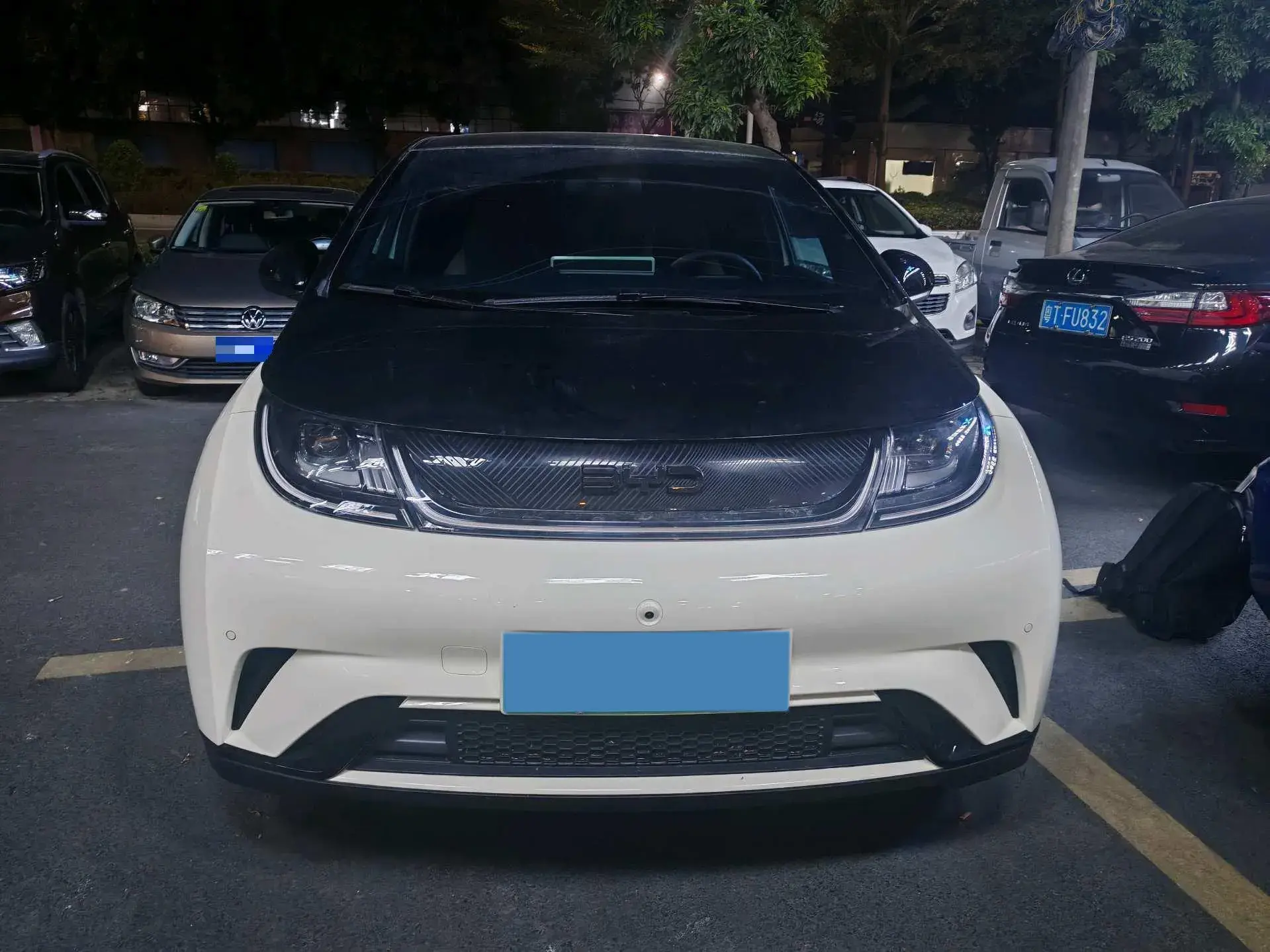 2024 BYD DOLPHIN thumbnail 2