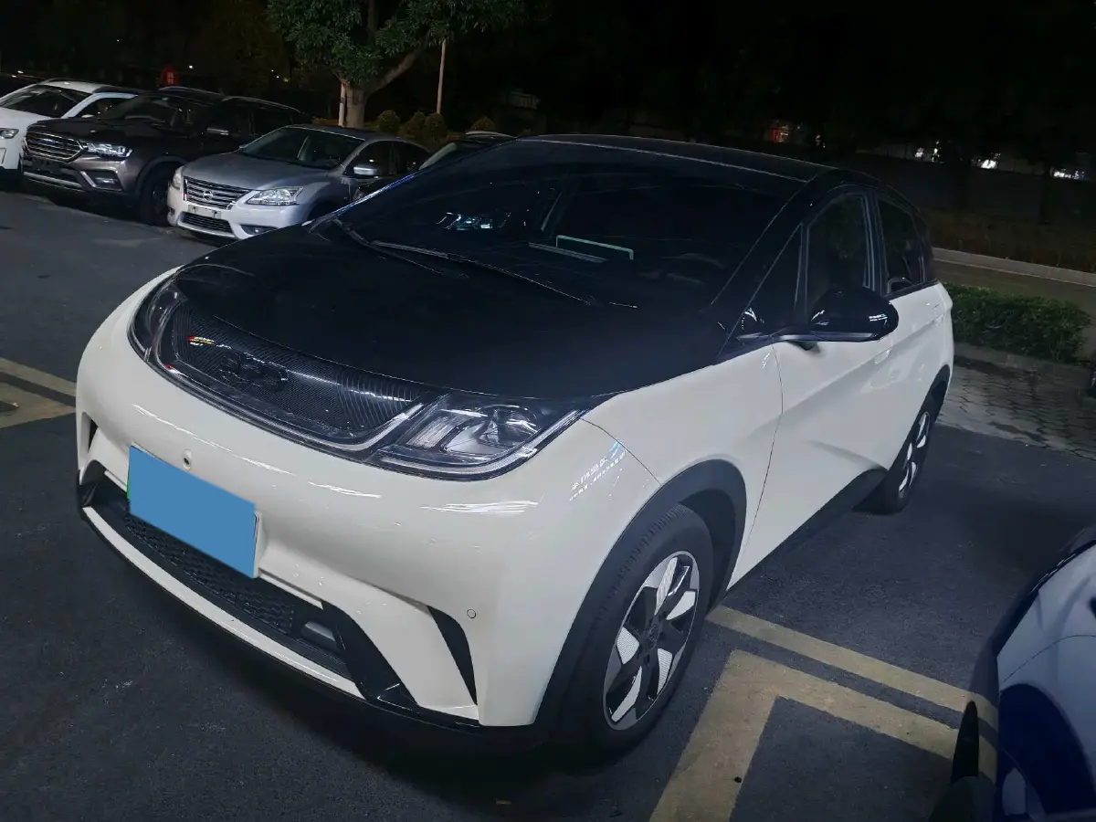 2024 BYD Dolphin BEV 44.928KWH