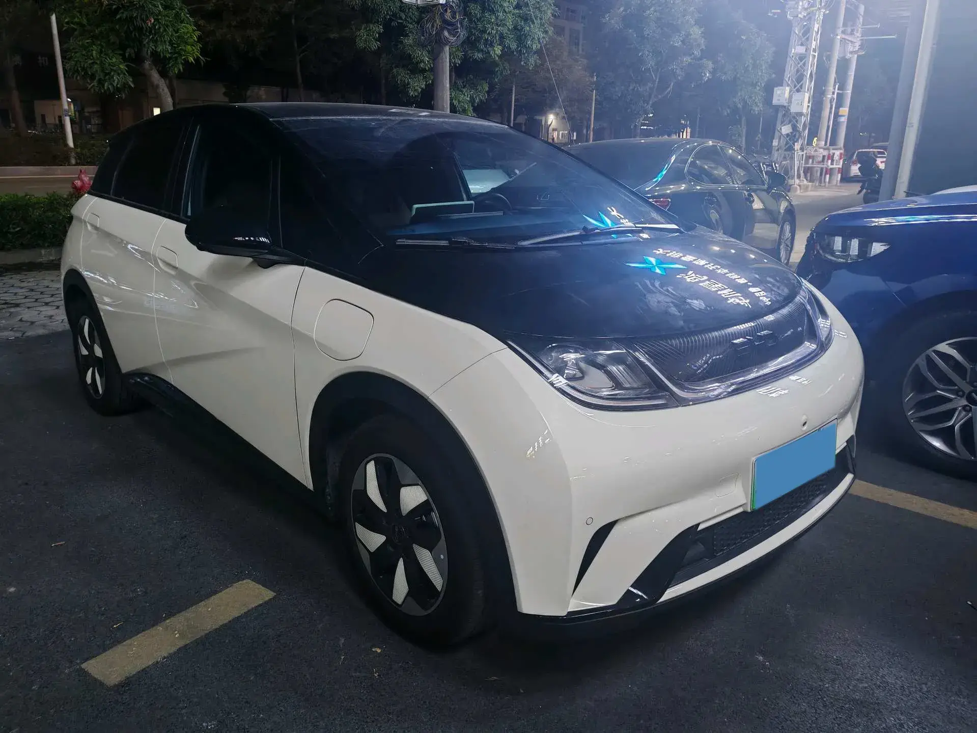 2024 BYD DOLPHIN thumbnail 3