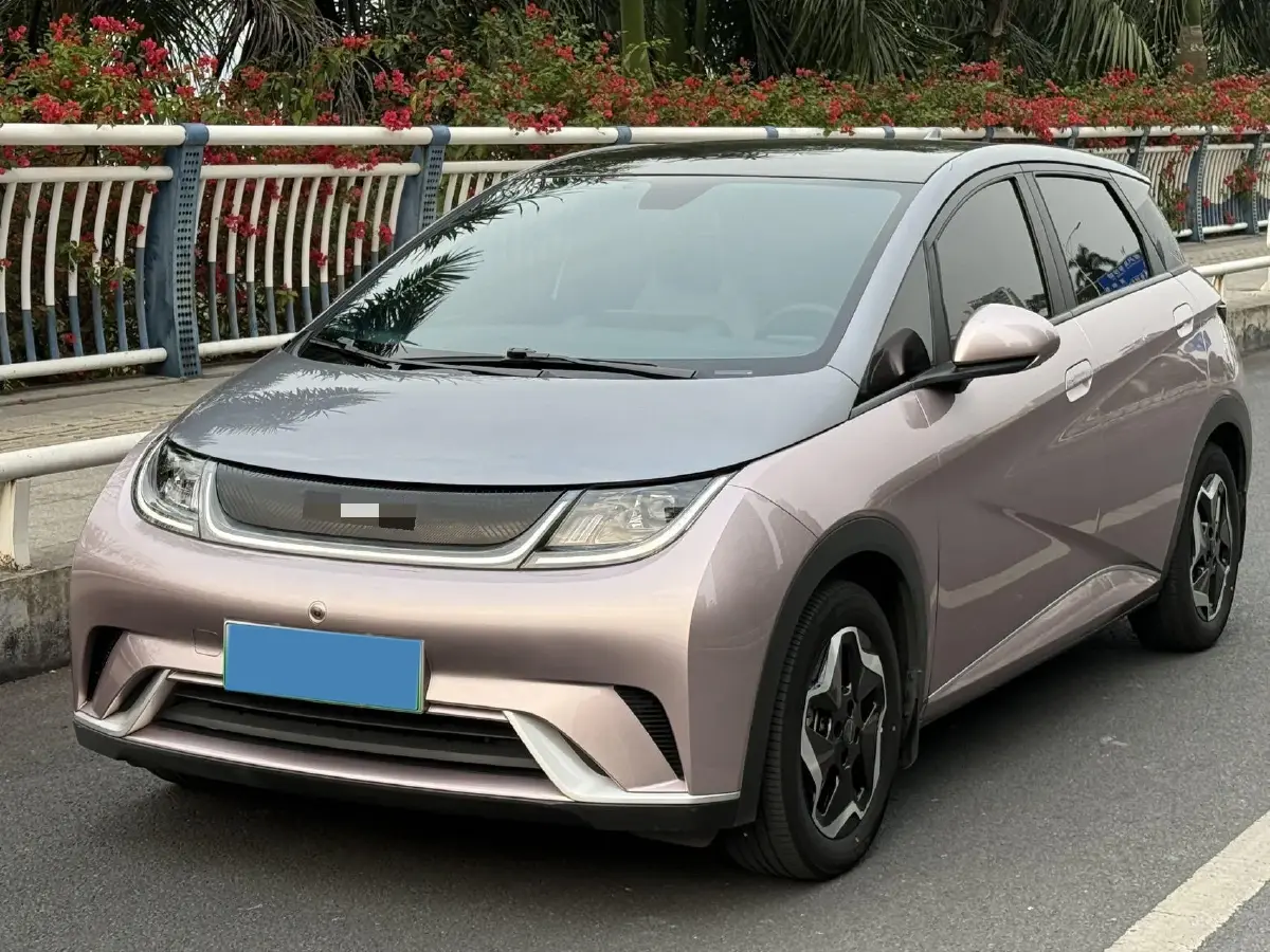 2021 BYD Yuan Pro BEV 50.1KWH