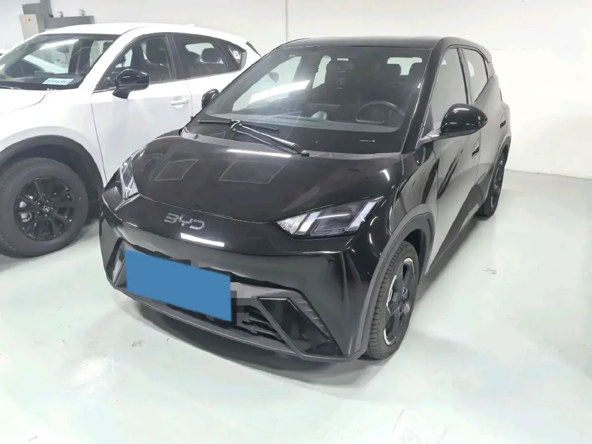 2024 BYD Seagull BEV 38.88KWH