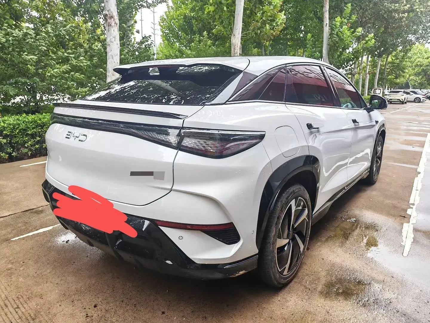 2024 BYD SEA thumbnail 3