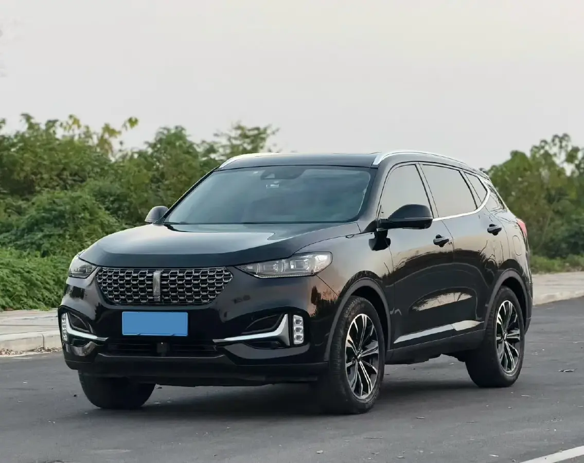 2021 WEY VV6 2.0T 227HP L4 7DCT