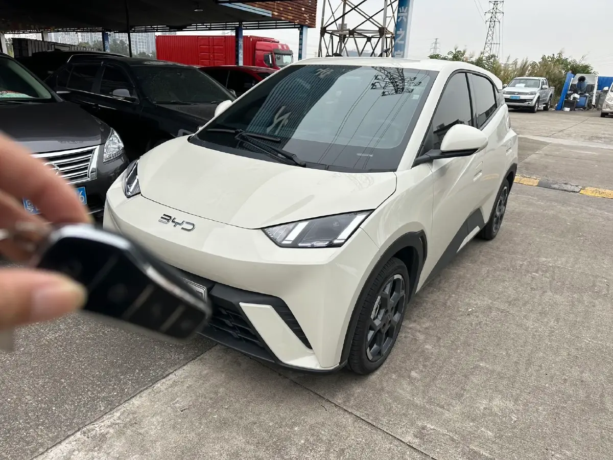 2025 BYD Seagull BEV 30.08KWH