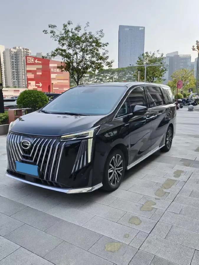 2024 GAC Trumpchi M8 2.0T 252HP L4 8AT