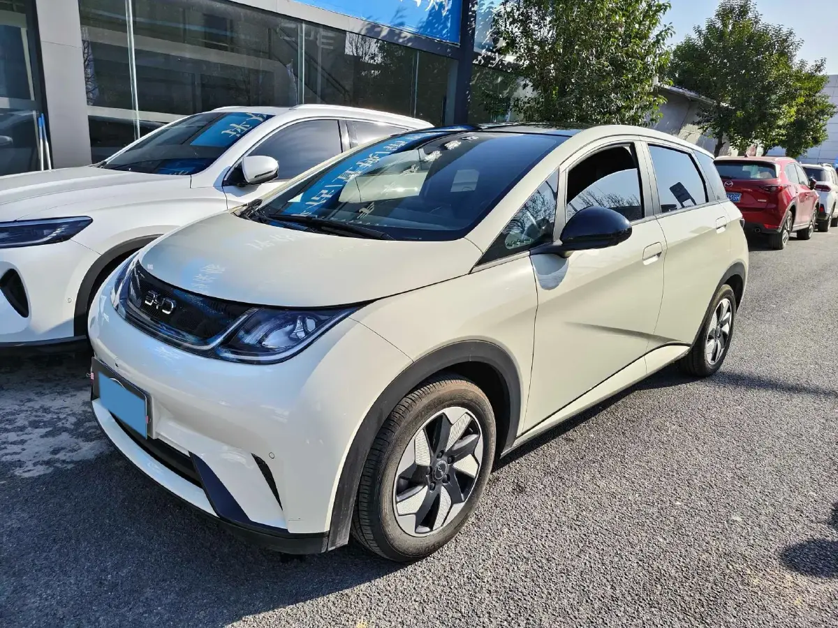 2025 BYD Dolphin BEV 44.928KWH