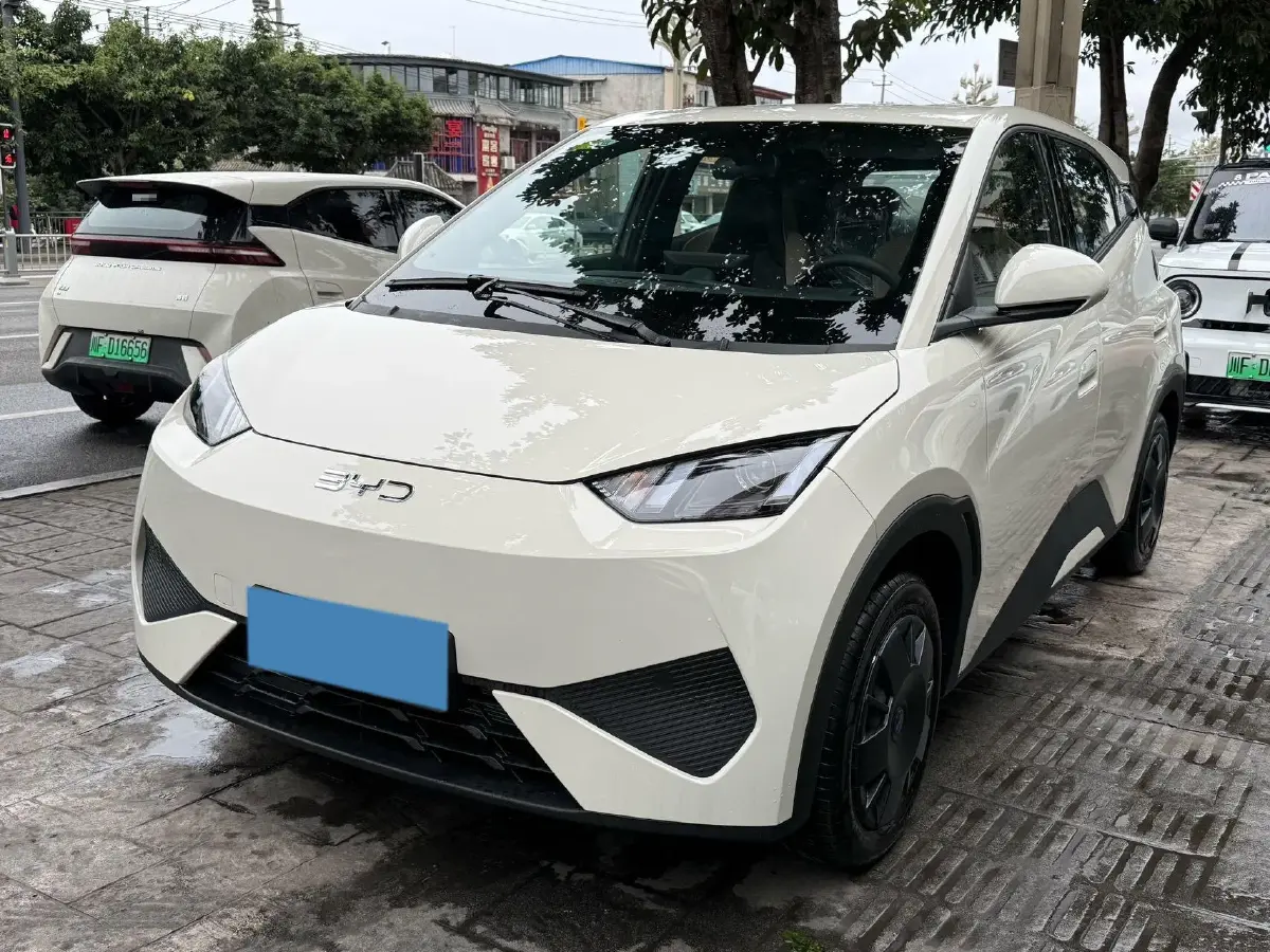 2025 BYD Seagull BEV 30.08KWH