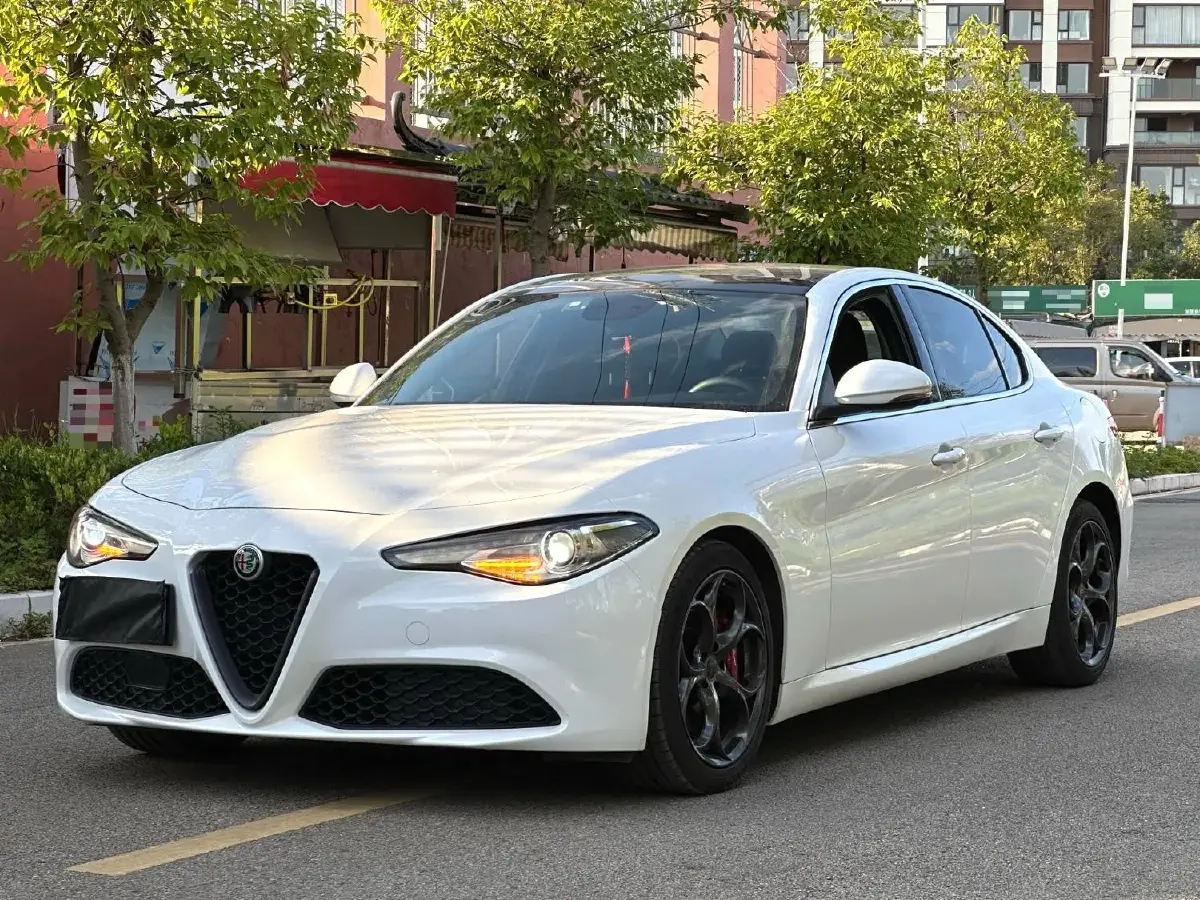 2017 Ford Mustang 2.3T 314HP L4 6AT