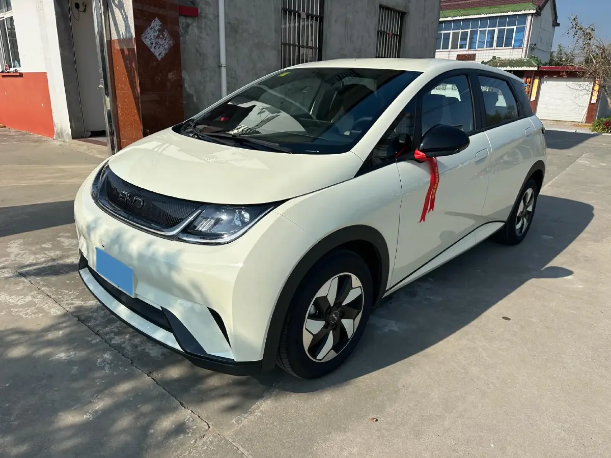 2024 BYD Dolphin BEV 44.928KWH