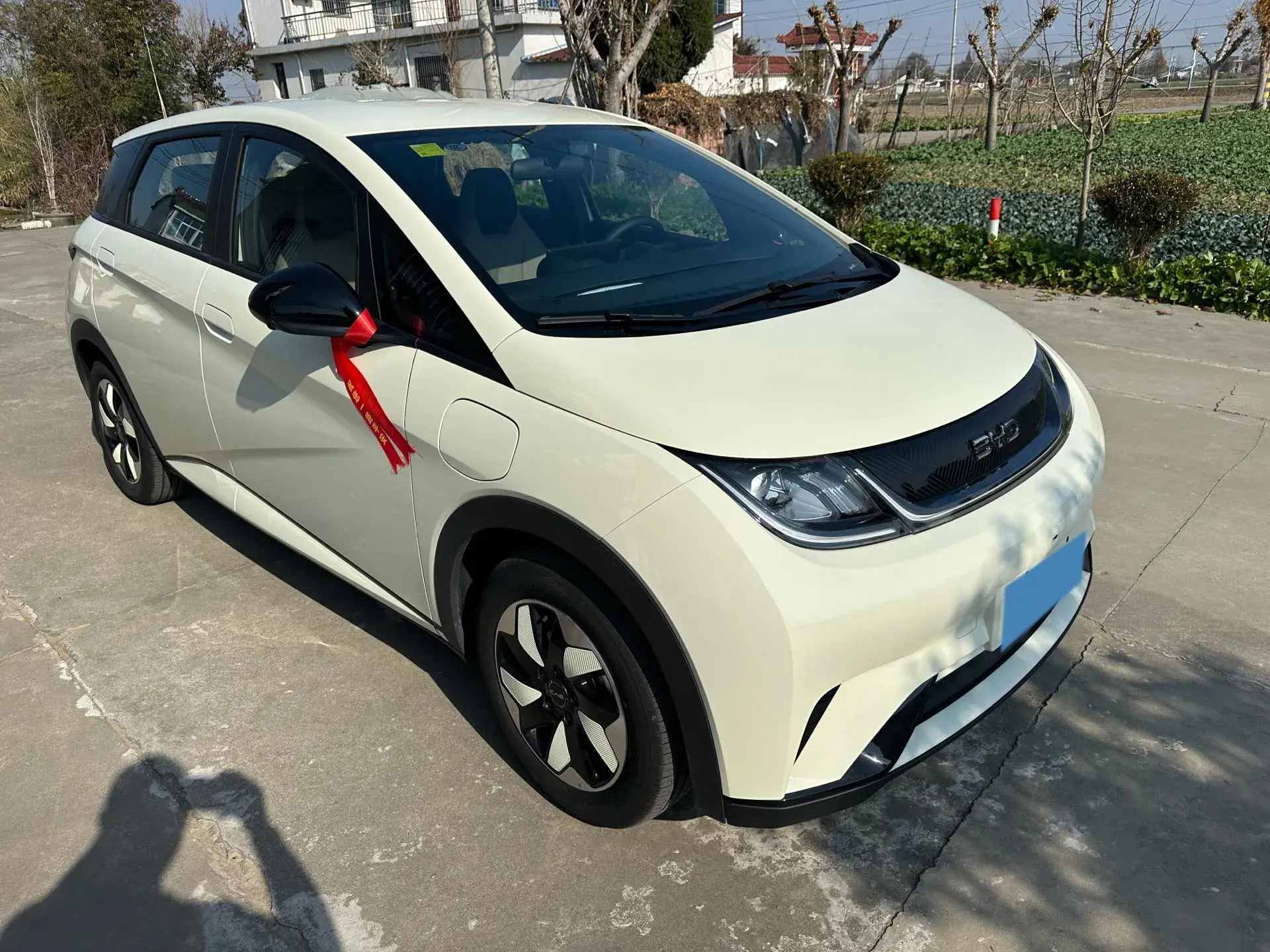 2024 BYD DOLPHIN thumbnail 2