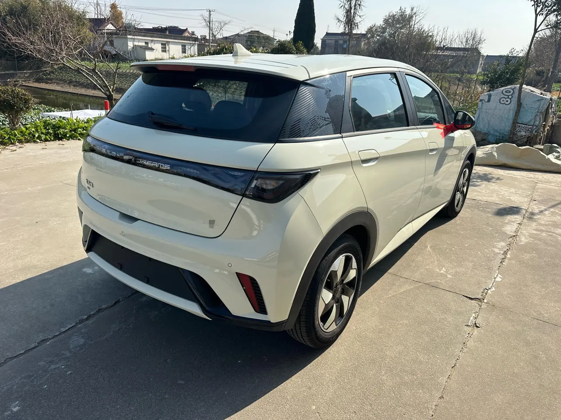 2024 BYD DOLPHIN thumbnail 3